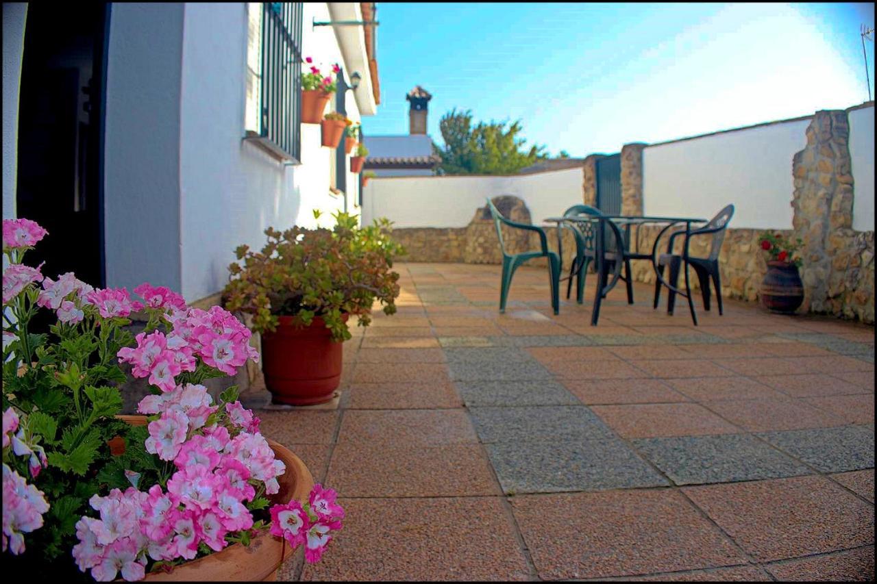 Chalet Con Piscina Privada Conil De La Frontera Exteriör bild